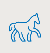 kachelnavi supplemente bewegungsapparat